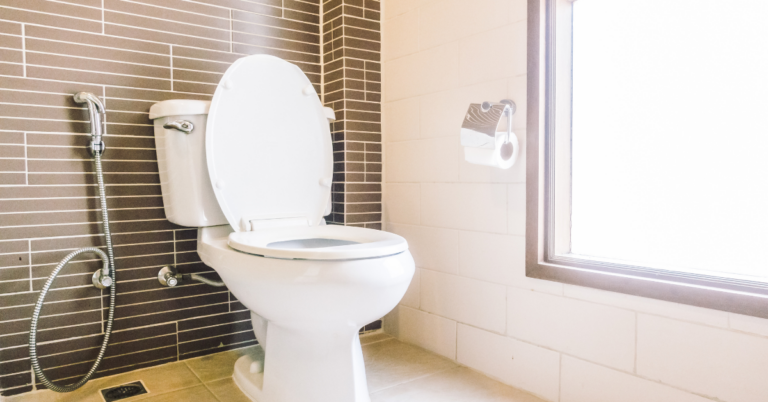 Everything You Need to Consider When Buying a Toilet