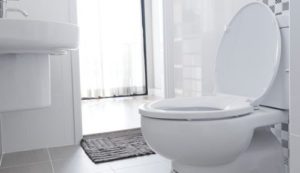 buying a toilet - round-shaped toilet 