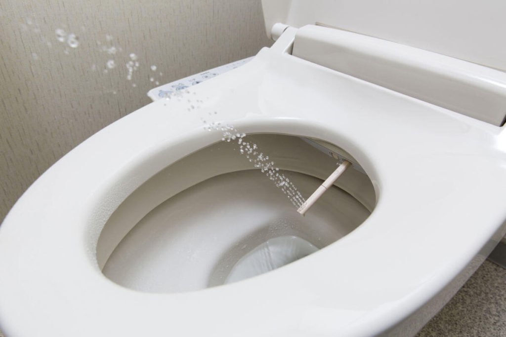 is a bidet worth it - spray coming out of bidet toilet