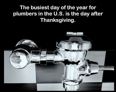 Thanksgiving plumbing tips - busiest day for plumbers