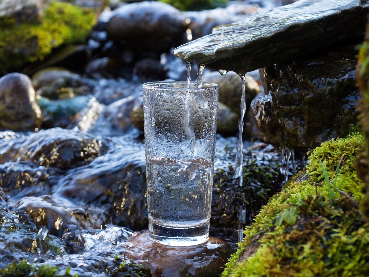 water softener - glass cup nature