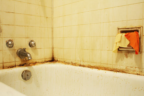 common bathtub problems - mold