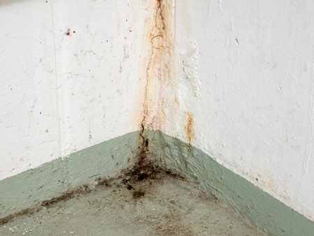 foundation damage - what causes basement flooding