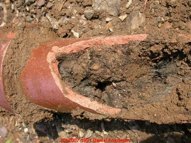 Excavated terracota sewer pipe that is broken and made out of clay