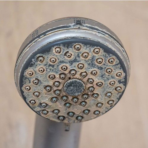 Scale from hard water on shower head