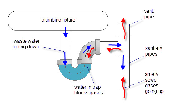 What is a trap primer diagram of of plumbing P trap