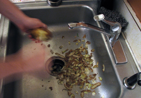 troubleshoot a garbage disposal - potato peels in sink