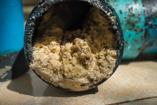 insurance for sewer backups -grease buildup in sewer line