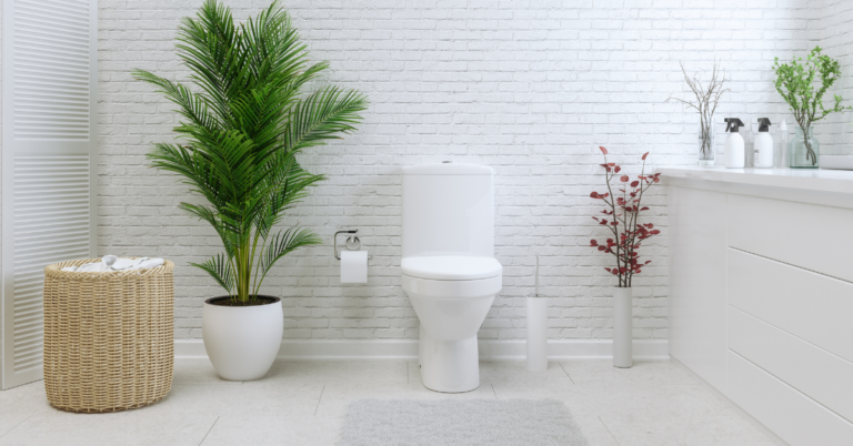 Round vs Elongated Toilet Seats? (The Differences are Surprising!)