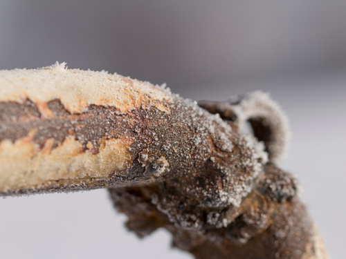Taking care of frozen pipes when you see them is important to keeping them from bursting.