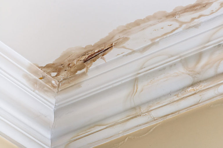 Here’s How to Fix Minor Water Damage on Baseboards (and a Warning!)
