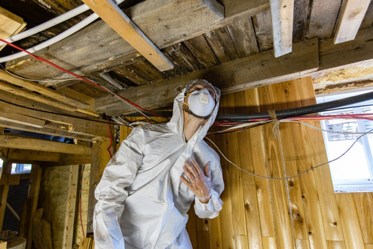 Mold In Basement? 4 Areas To Inspect (So You Can Breathe Easier!)