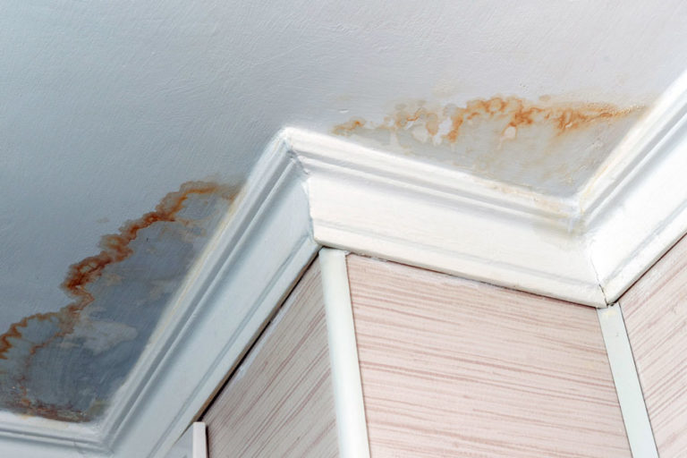 Ceiling Water Damage: Everything You Need To Handle It Correctly!