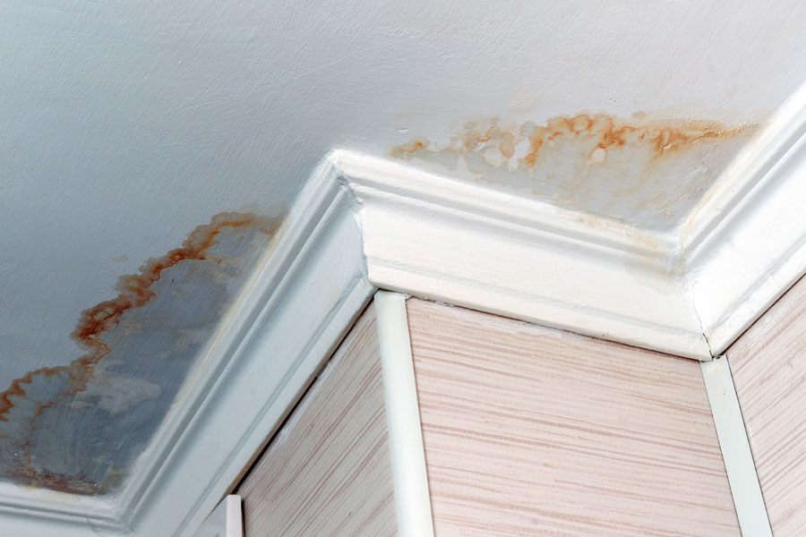 Ceiling Water Damage Everything You, How Much Does It Cost To Fix A Water Damaged Basement Ceiling