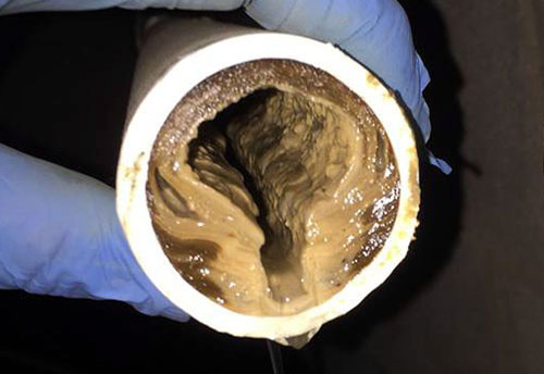 kitchen drain - cooking oil congealed in pipe