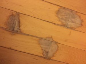 Discoloration due to hardwood floor water damage