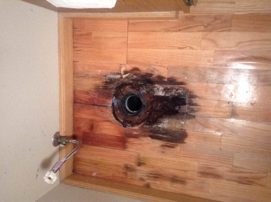 Hardwood floor water damage