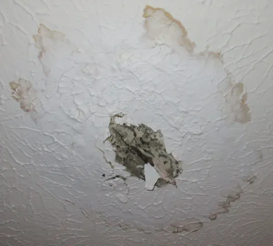 Water damage on popcorn ceiling