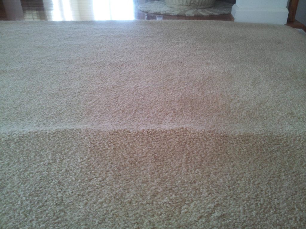Wrinkle in carpet from water damage