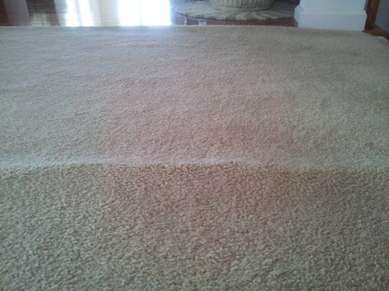 How Do I Know If My Carpet Has Water Damage?