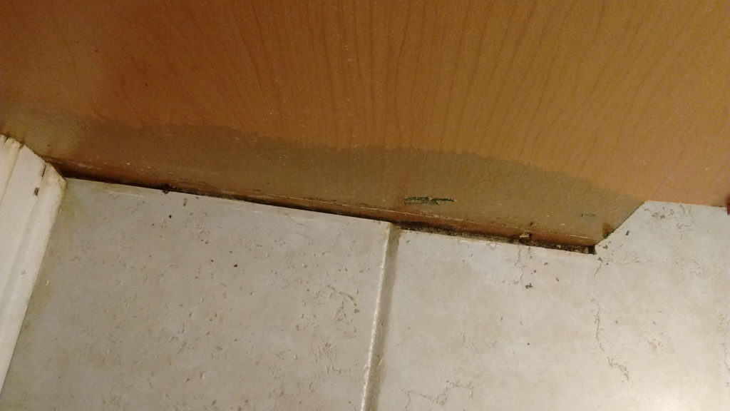 Water damage on bathroom floor from flooded bathroom
