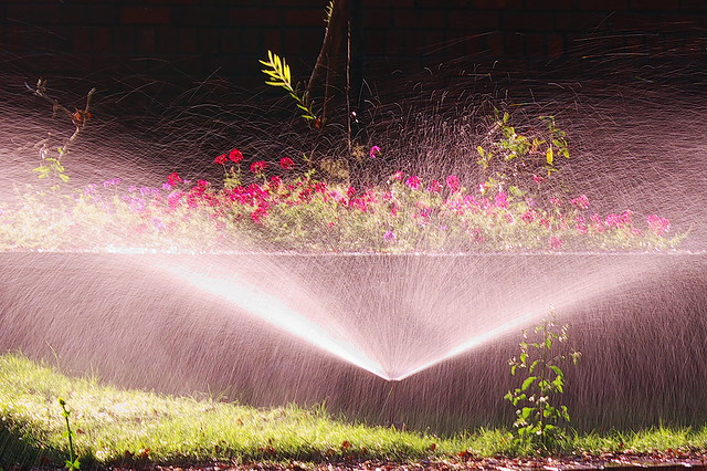 Don't let your sprinkler run without paying attention to the time. This is an easy way to rack up your water bill and use unnecessary water in a little amount of time!
