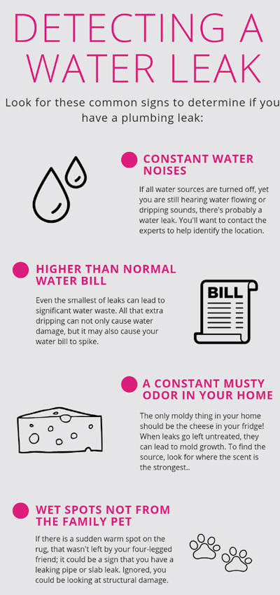 sign of a leak in plumbing infographic