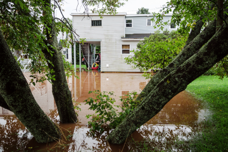 What To Do When Rainwater Floods Your Backyard