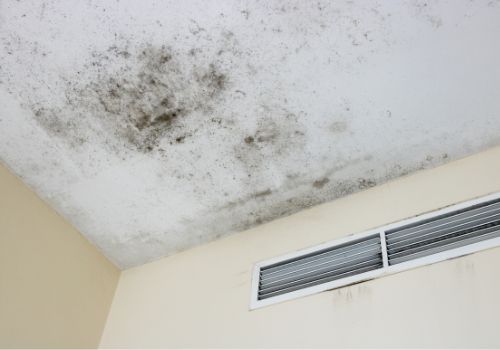 mold on ceiling
mold from water damage