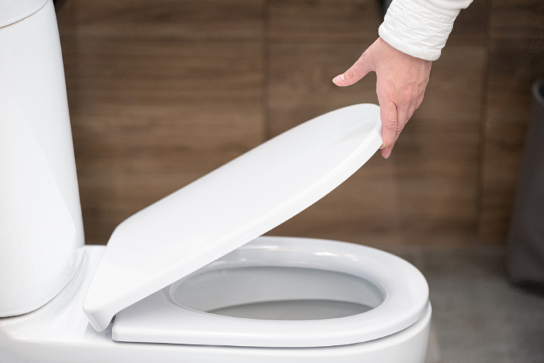 How To Install A New Toilet Seat