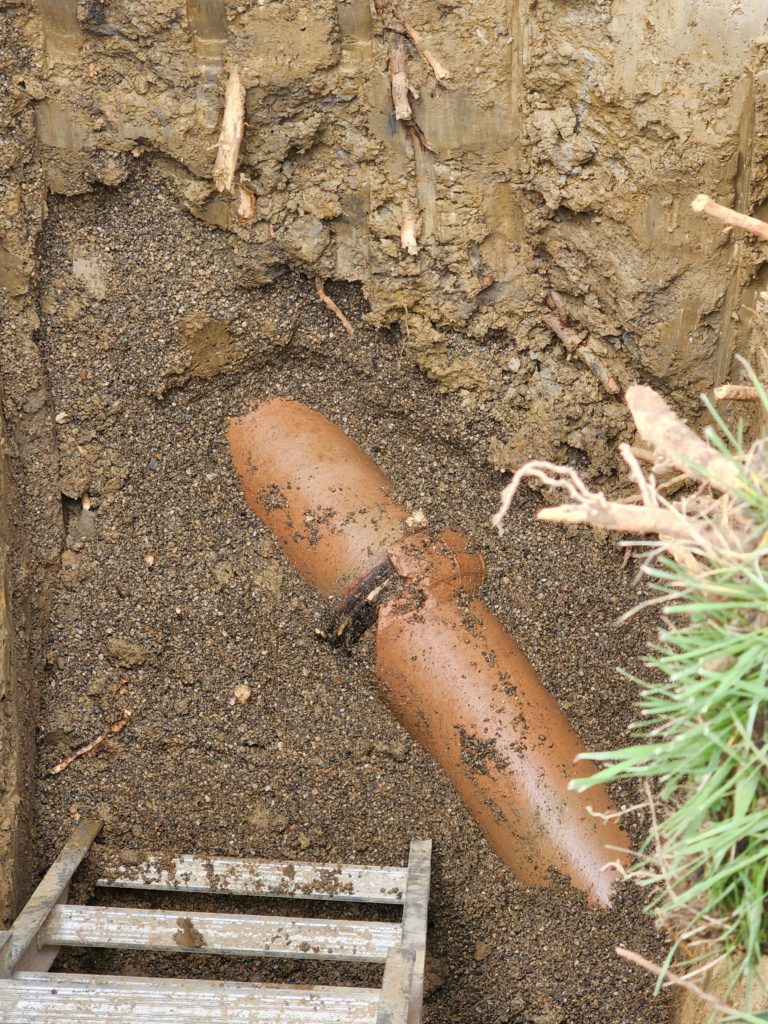 Catch roots before they invade your entire pipe. This will save you from an entire sewer repair.