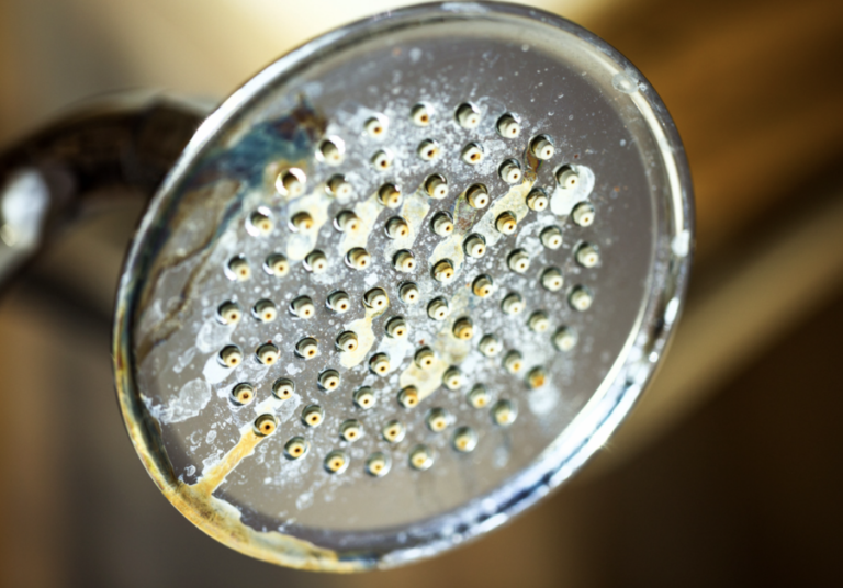 Clogged Shower Head? Clean It With Vinegar!