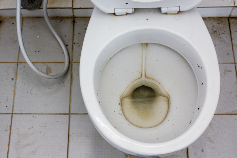 Why You Have Low Water Levels In Your Toilet Bowl!