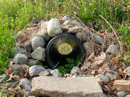 A french drain will transport water to another area to prevent water damage and flooding.