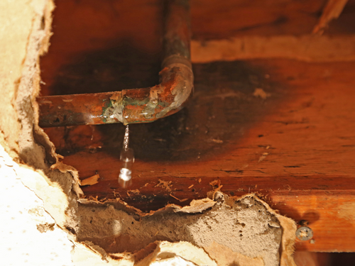 plumbing maintenance - catch leaking pipes before they cause severe water damage
