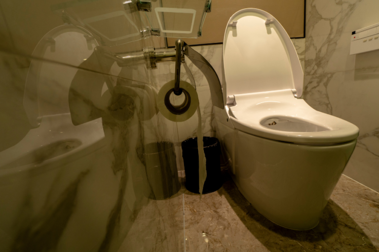 A Bidet…Also Called a Smart Toilet in Today’s Society