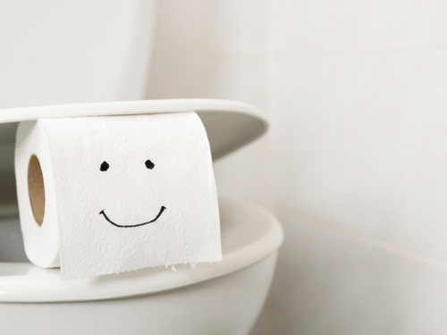 We recommend you use 1-ply toilet paper over any other toilet paper because this is the easiest to dissolve in your drain. 