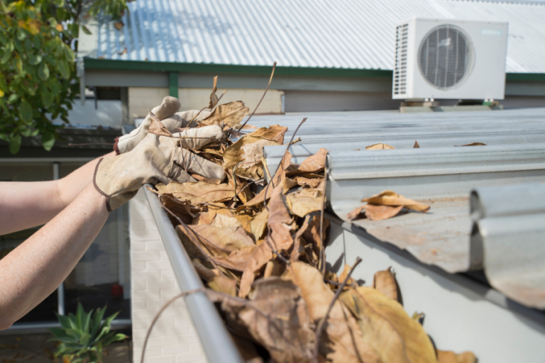 What Exactly Causes Clogged Gutters?