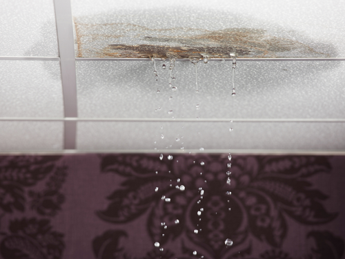 A leak from an appliance, if left alone long enough, can turn into a water damage disaster for the ceiling in your home.