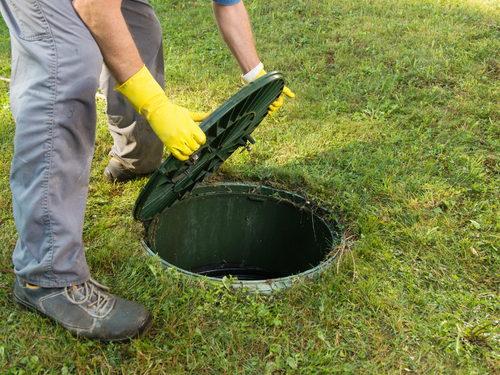 Grass is best choice for your drain field. This allows you to have easy access to it when maintenance is needed.