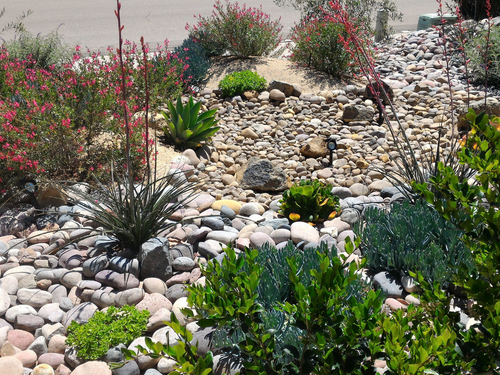 Here is an example of what xeriscaping can look like. If you're in the right area for this, this could be a great option for outside your home.