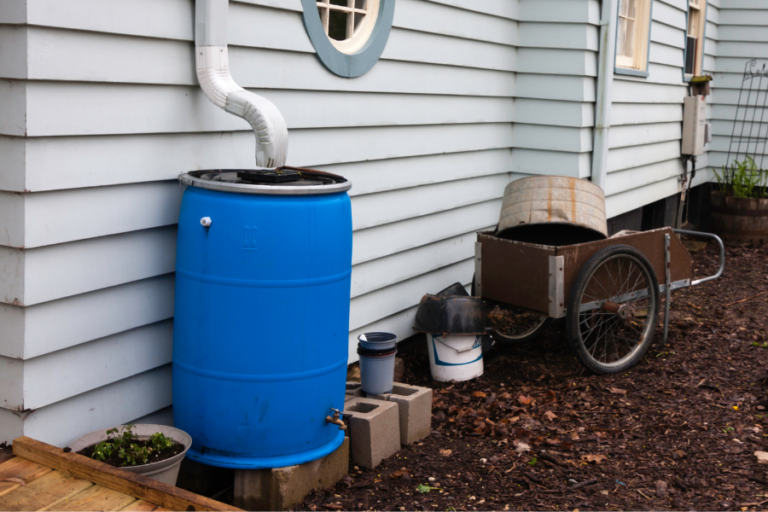 Ways to Collect Rainwater Using a Rain Barrel