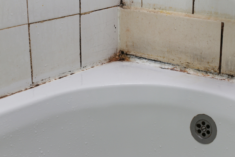 How to Remove/Prevent Mold in Your Bathroom