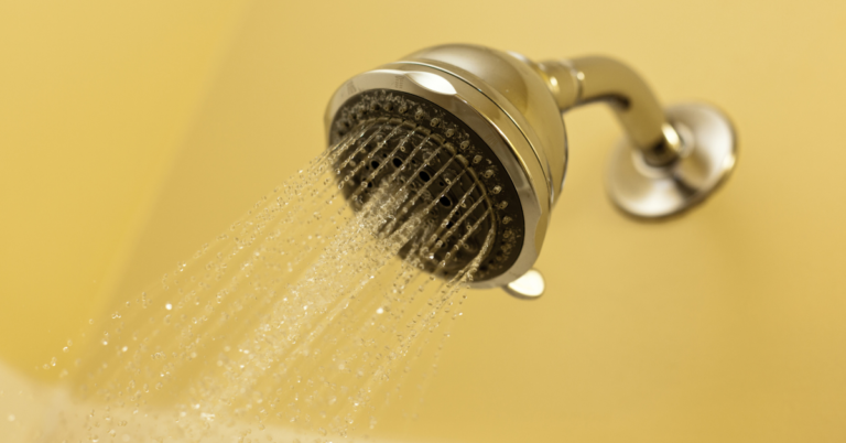5 Reasons Why Your Shower is Making a Squealing Sound