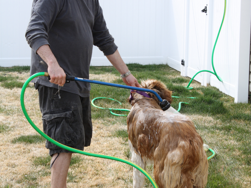You can always give your dog a bath outside. Of course, this only really works during the warmer months of the year. 