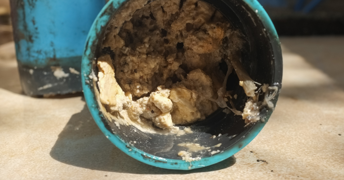 How to Get Rid of Grease in Drains – Cleaning Grease from a Drain