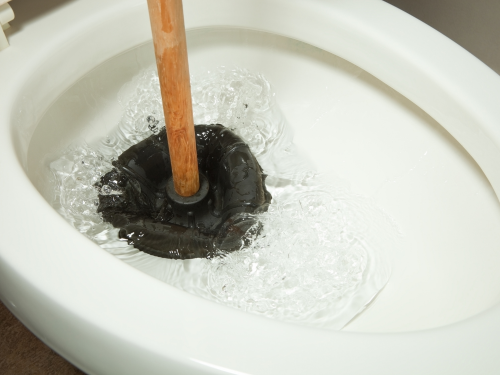 A plunger in a toilet. 