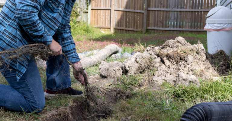 French Drain Cleaning 101