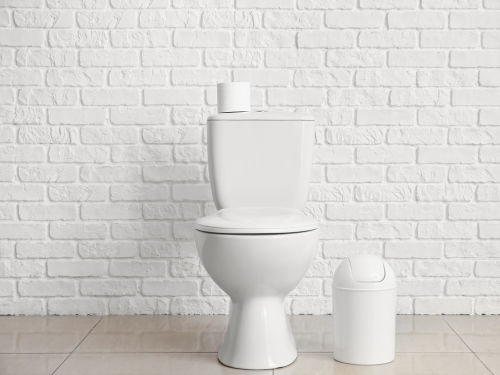 toilet in a brick 