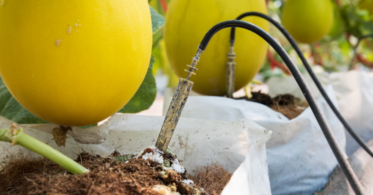 Irrigation System Tips for Gardeners